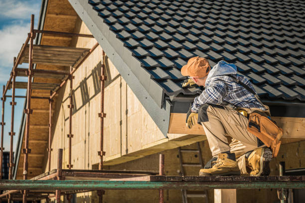 Best Roof Gutter Cleaning  in Lemmon, SD