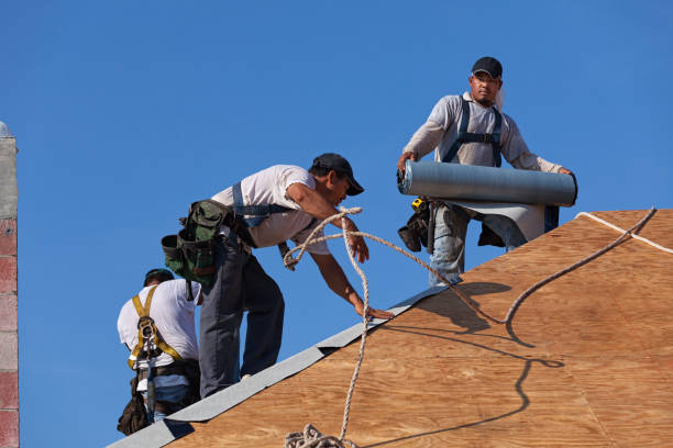 Roof Gutter Cleaning in Lemmon, SD